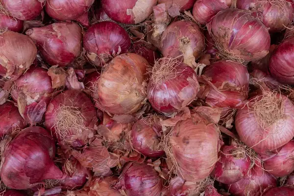 Piyasadaki soğan kafalarının arka planı - doğal doku ve sağlıklı gıda konsepti. Tasarım ve reklam için organik sebze arka planı