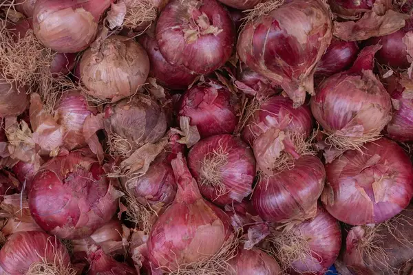 Taze soğan başlarının doğal ışık altında yakın çekimi - organik sebze arka planı.
