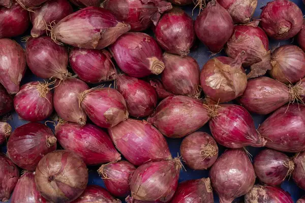 Taze soğan başlarının doğal ışık altında yakın çekimi - organik sebze arka planı.