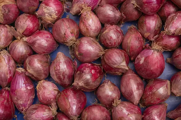 Taze soğan başlarının doğal ışık altında yakın çekimi - organik sebze arka planı.