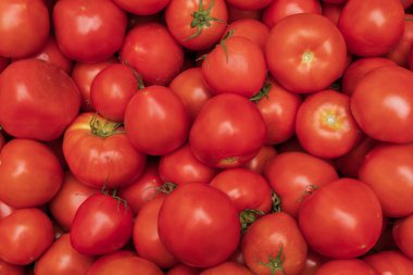 Atina 'daki çiftçi pazarındaki tezgahta duran taze kırmızı kiraz domatesleri. Organik arka plan.