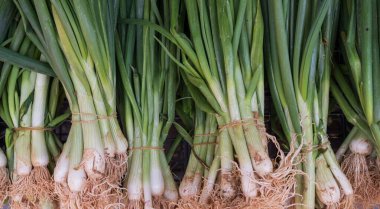 Markette taze taze soğan serili, en iyi manzara. Tasarım için doğal arkaplan