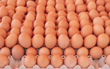 Tezgahta taze beyaz ve kahverengi tavuk yumurtaları - üst görünüm, doğal ürün, organik gıda, arka plan