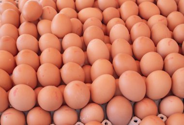 Tezgahta taze beyaz ve kahverengi tavuk yumurtaları - üst görünüm, doğal ürün, organik gıda, arka plan