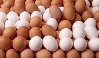 Tezgahta taze beyaz ve kahverengi tavuk yumurtaları - üst görünüm, doğal ürün, organik gıda, arka plan