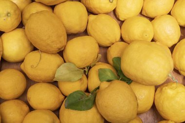 Atina 'daki çiftçi pazarında olgun doğal limonlara yakın. Tasarım için doğal meyve arkaplanı.