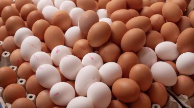 Tezgahta taze beyaz ve kahverengi tavuk yumurtaları - üst görünüm, doğal ürün, organik gıda, arka plan