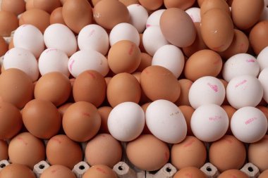 Tezgahta taze beyaz ve kahverengi tavuk yumurtaları - üst görünüm, doğal ürün, organik gıda, arka plan