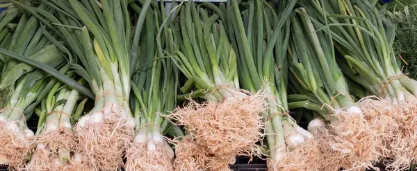 Markette taze taze soğan serili, en iyi manzara. Tasarım için doğal arkaplan