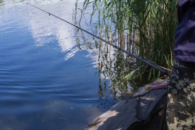 Dinyeper 'da balık tutmak. Dönen bir çubukla balık tutma işlemi. Balıkçılık.