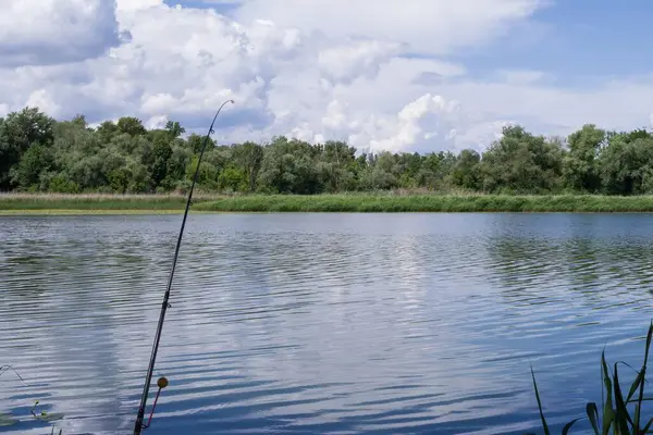 Güneşli bir yaz gününde yemyeşil bir kıyı şeridi olan sakin bir nehrin kenarında olta kamışı. Balıkçılık