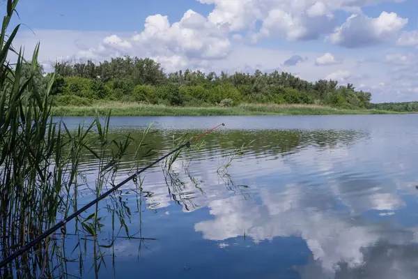 Güneşli bir yaz gününde yemyeşil bir kıyı şeridi olan sakin bir nehrin kenarında olta kamışı. Balıkçılık