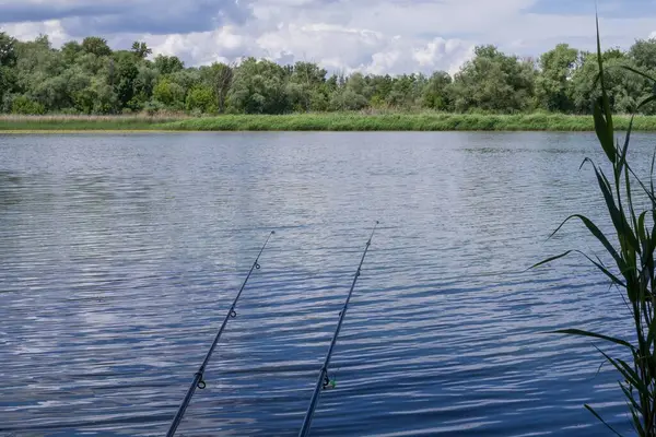 Güneşli bir yaz gününde yemyeşil bir kıyı şeridi olan sakin bir nehrin kenarında olta kamışı. Balıkçılık