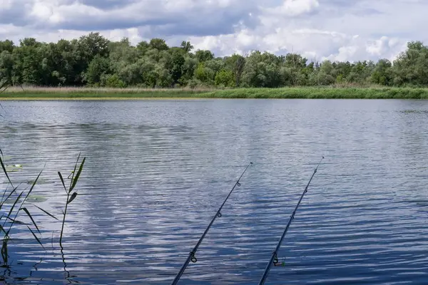 Güneşli bir yaz gününde yemyeşil bir kıyı şeridi olan sakin bir nehrin kenarında olta kamışı. Balıkçılık