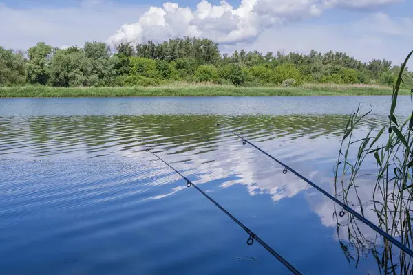 Güneşli bir yaz gününde yemyeşil bir kıyı şeridi olan sakin bir nehrin kenarında olta kamışı. Balıkçılık