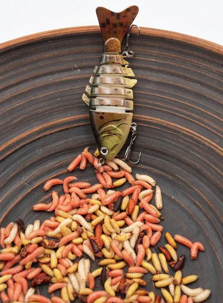 Çeşitli canlı kurtçuklar ve yapay balık yemi - balıkçı teknesi konsepti