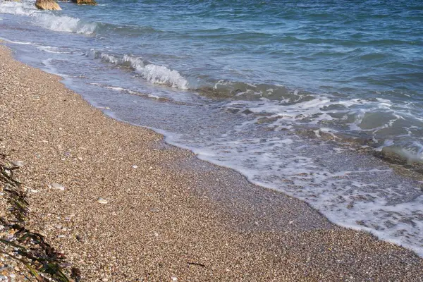 Deniz köpüğü akşam güneşinde kumlu bir sahilde süzülür.