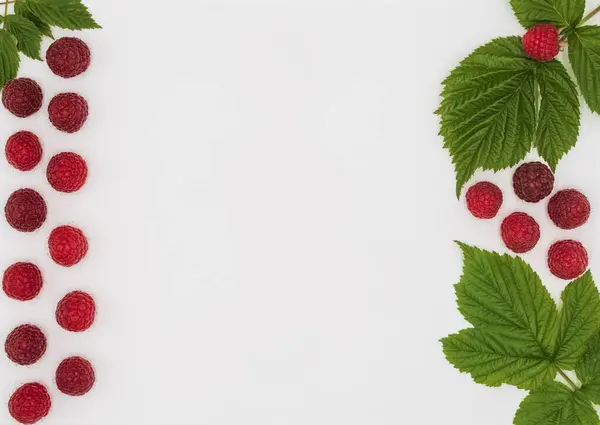 Beyaz arkaplanda simetrik kompozisyonda yeşil yapraklı olgun ahududu