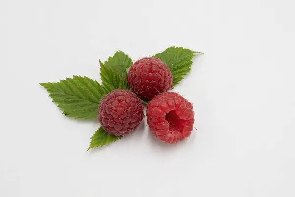 Beyaz arka planda taze yeşil yapraklı olgun ahududu yakın plan, minimal stil.