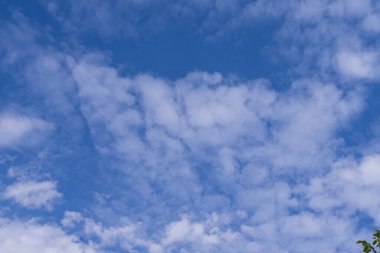 Serene Blue Sky with Scattered White Bulds Tranquil Weather Scene