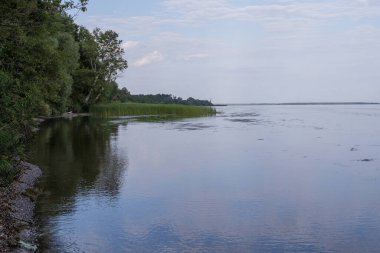 Yazın ormanlık ve bulutlu gökyüzü ile sakin nehir manzarası