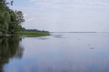 Yazın ormanlık ve bulutlu gökyüzü ile sakin nehir manzarası
