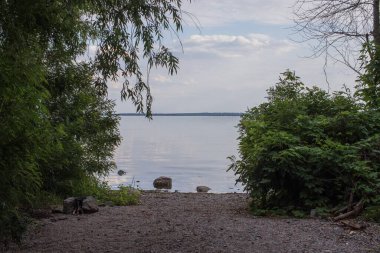 Sakin nehir manzarası yumuşak akşam ışığı ve bulutlar suda yansıyor.