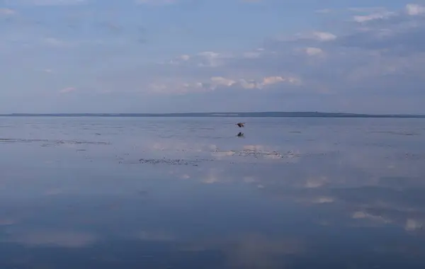 Sakin nehir manzarası yumuşak akşam ışığı ve bulutlar suda yansıyor.