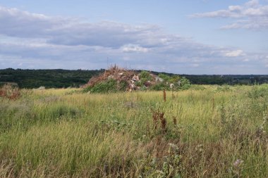 Açık bir kırsal alanda izinsiz çöplük.