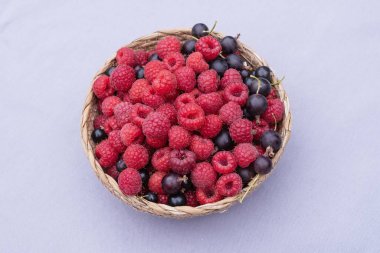 Pastel arka planda taze ahududu ve kara frenk üzümü. Sağlıklı yaz meyveleri.