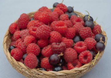 Pastel arka planda taze ahududu ve kara frenk üzümü. Sağlıklı yaz meyveleri.