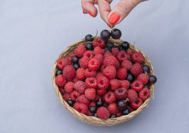Pastel arka planda taze ahududu ve kara frenk üzümü. Sağlıklı yaz meyveleri.