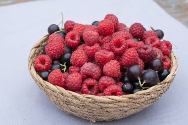 Pastel arka planda taze ahududu ve kara frenk üzümü. Sağlıklı yaz meyveleri.