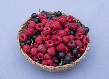 Pastel arka planda taze ahududu ve kara frenk üzümü. Sağlıklı yaz meyveleri.