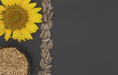  Tahta kaşık ve seramik kâse gibi çiğ ve kabuklu çekirdekli büyük bir ayçiçeğinin düz bileşimi siyah bir mat yüzeyinde yatıyordu. Doğal malzemeler, metin veya tasarım için boş alan sağlayarak dikey bir çizgide yerleştirilir..