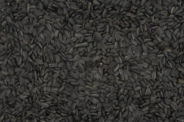 Ayçiçeği tohumları yakın plan