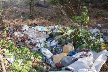 Plastik şişeler, torbalar ve inşaat atıklarıyla ormanda yasadışı çöplük..