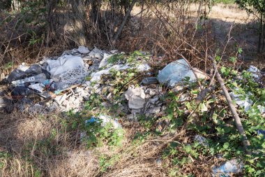 Plastik şişeler, torbalar ve inşaat atıklarıyla ormanda yasadışı çöplük..