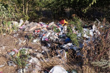 Plastik şişeler, torbalar ve inşaat atıklarıyla ormanda yasadışı çöplük..