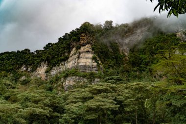 Engebeli uçurumları olan yemyeşil bir dağ ve ormandan yükselen bir sis. Tropikal ya da astropikal bölgede sakin ve dramatik bir doğal manzara.