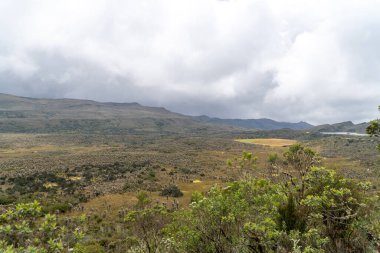 view of a paramo with a valley of frailejones (espeletia) and a mountain in the Colombian Andes clipart