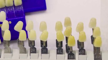 Diş protezlerini doğal dişlerle eşleştirmek için kullanılan diş tonu rehberinin yakın çekimi..