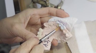 Bir iş yerindeki alçı diş modeline seramik diş rengini uygulamak için fırça kullanan bir diş teknisyeninin yakın çekimi..