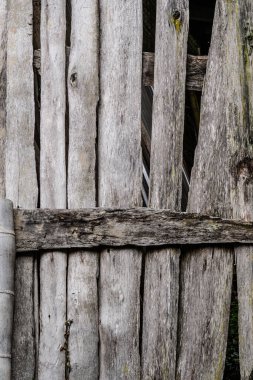 Ağaç kabuğunun kabartmalı dokusu. Ağaç dokusunun panoramik fotoğrafı. Arkaplan tahtası, ahşap doku