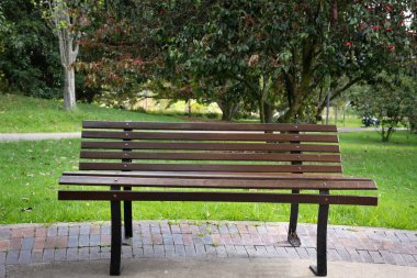 Sessiz bir ormanda, yosunlu bir ağacın yanında tek başına duran tahta bir sandalye.