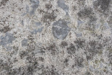 Gri çimento. Duvar dokusu. Çekici modern ham ve düz olmayan beton duvar yüzeyi
