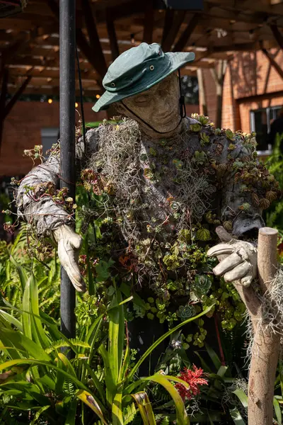 Ağaçtan sarkan geri dönüşümlü bir kabın üzerinde büyüyen ve açan sulu bitki.