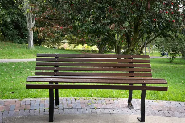 Sessiz bir ormanda, yosunlu bir ağacın yanında tek başına duran tahta bir sandalye.