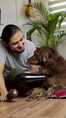 Erkek, kahverengi köpeğine gülümseyerek tüylerini kurular ve fırçalarken, evdeki hassas tımar anını ön plana çıkarır..