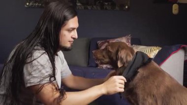 Uzun saçlı bir adam, kanepede rahat bir oturma odasında otururken kahverengi köpeğini siyah bir eşarpla giydirir..